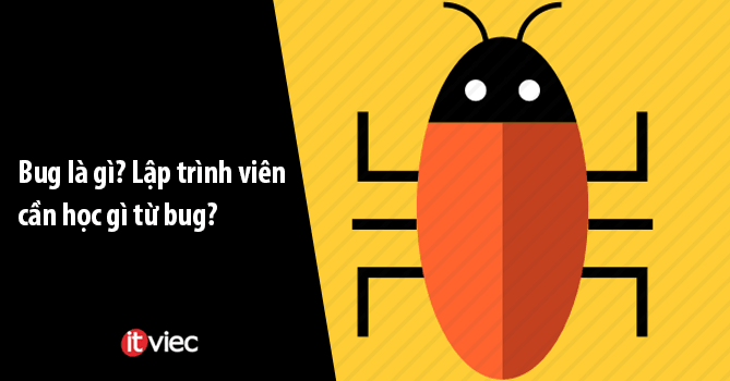 Bug là gì?
