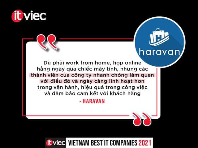 nhân viên it - haravan