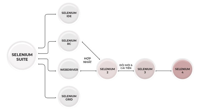 selenium-la-gi-suite