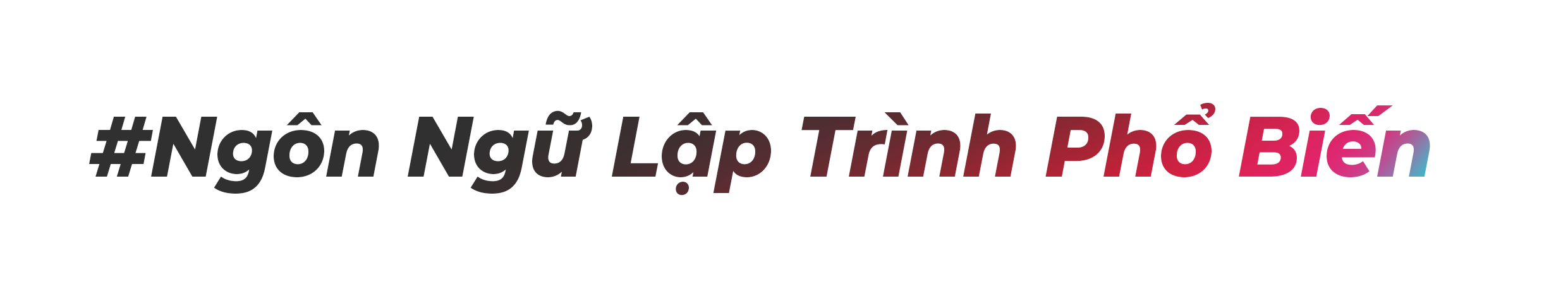 ngon-ngu-lap-trinh-noi-bat-2023