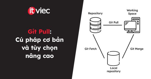 Git Pull - itviec blog